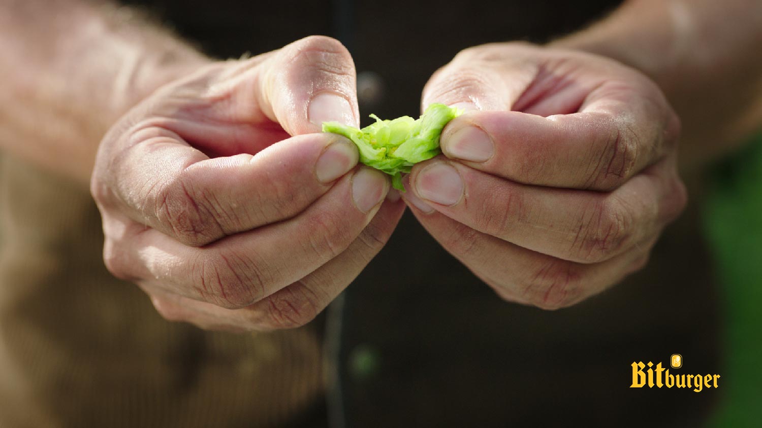 business photography