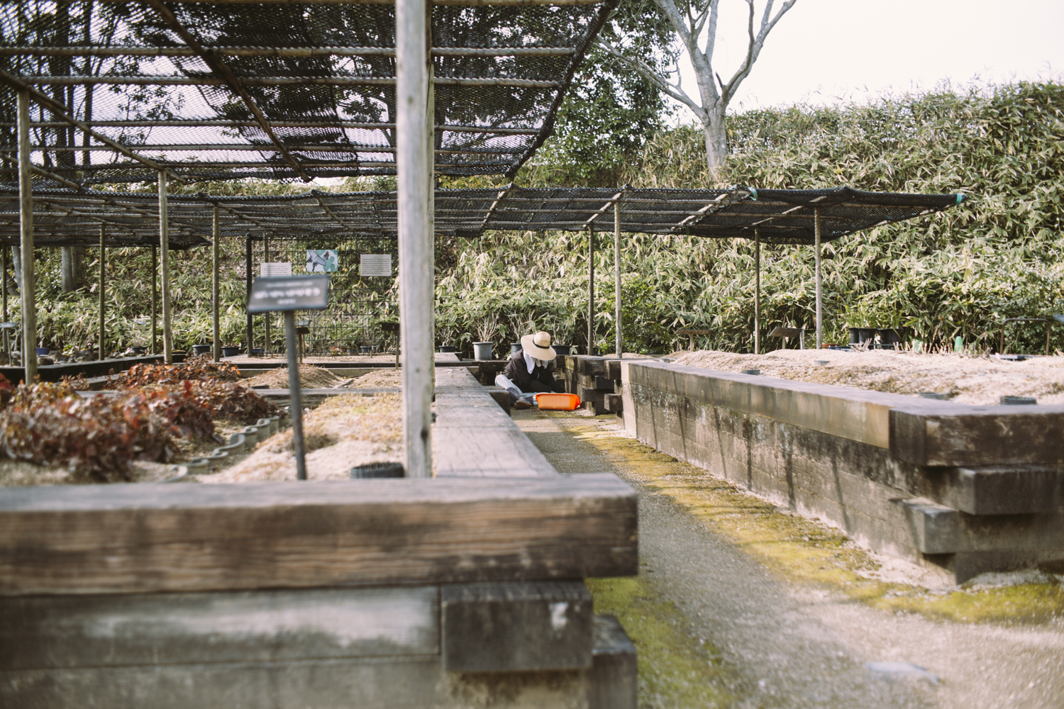 business as usual photography