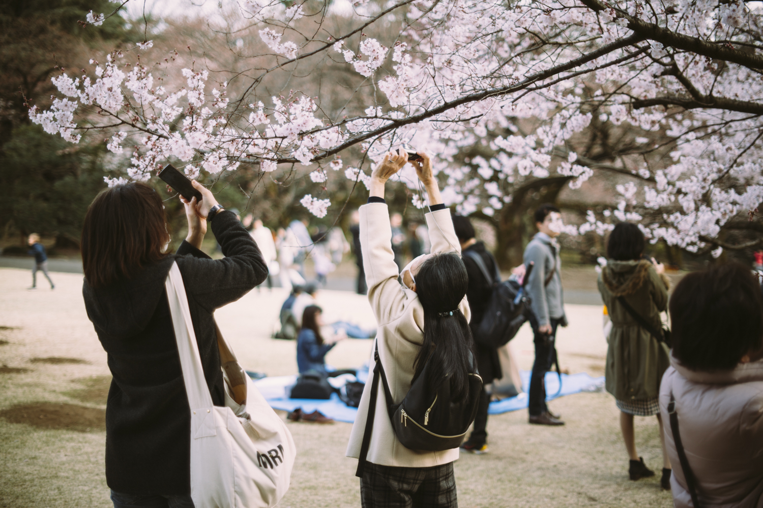 business as usual photography