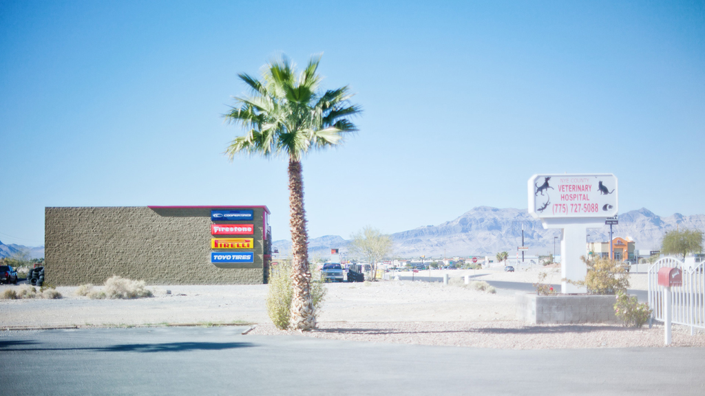 desert session photography